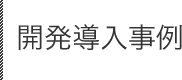 開発導入事例